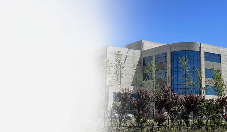 企業(yè)優(yōu)勢